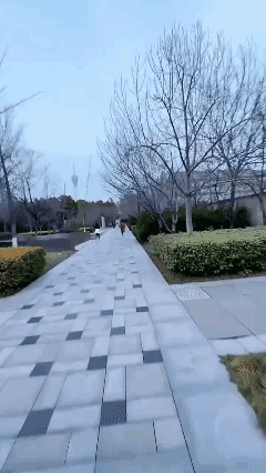 不按套路出牌！😡