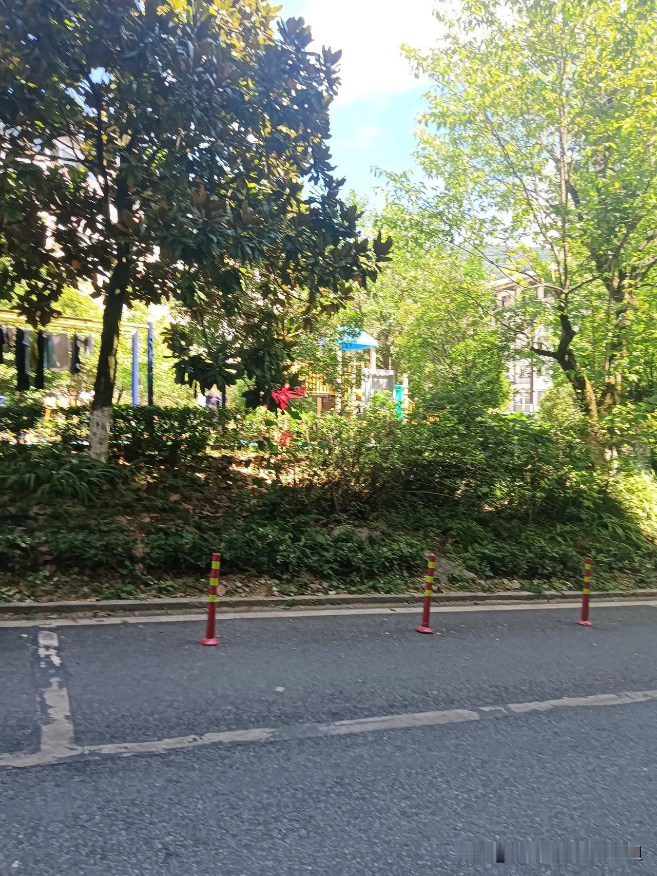 此时此刻，我是神农架的过客。住木鱼镇，喜欢四处逛逛徒步而行。神农架是一个巨大