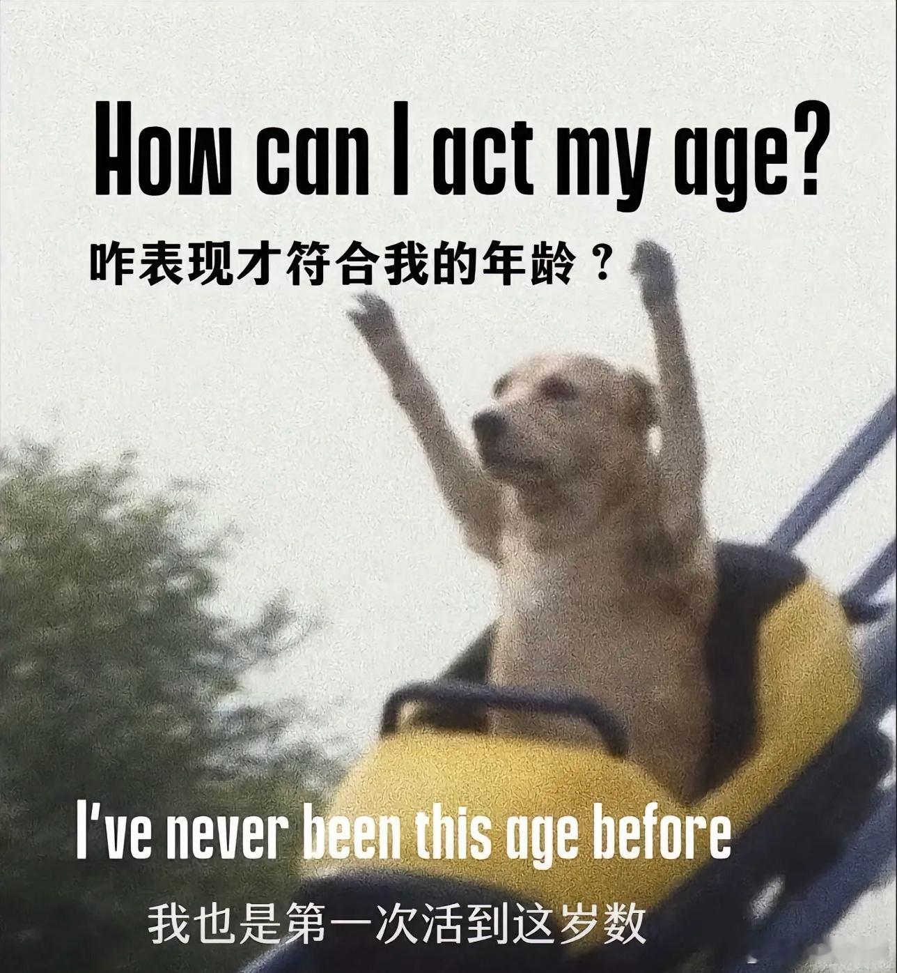 很多人是接不住“真诚的”，能接住的人往往都还挺善良，大部分人会滋生傲慢和自己太牛