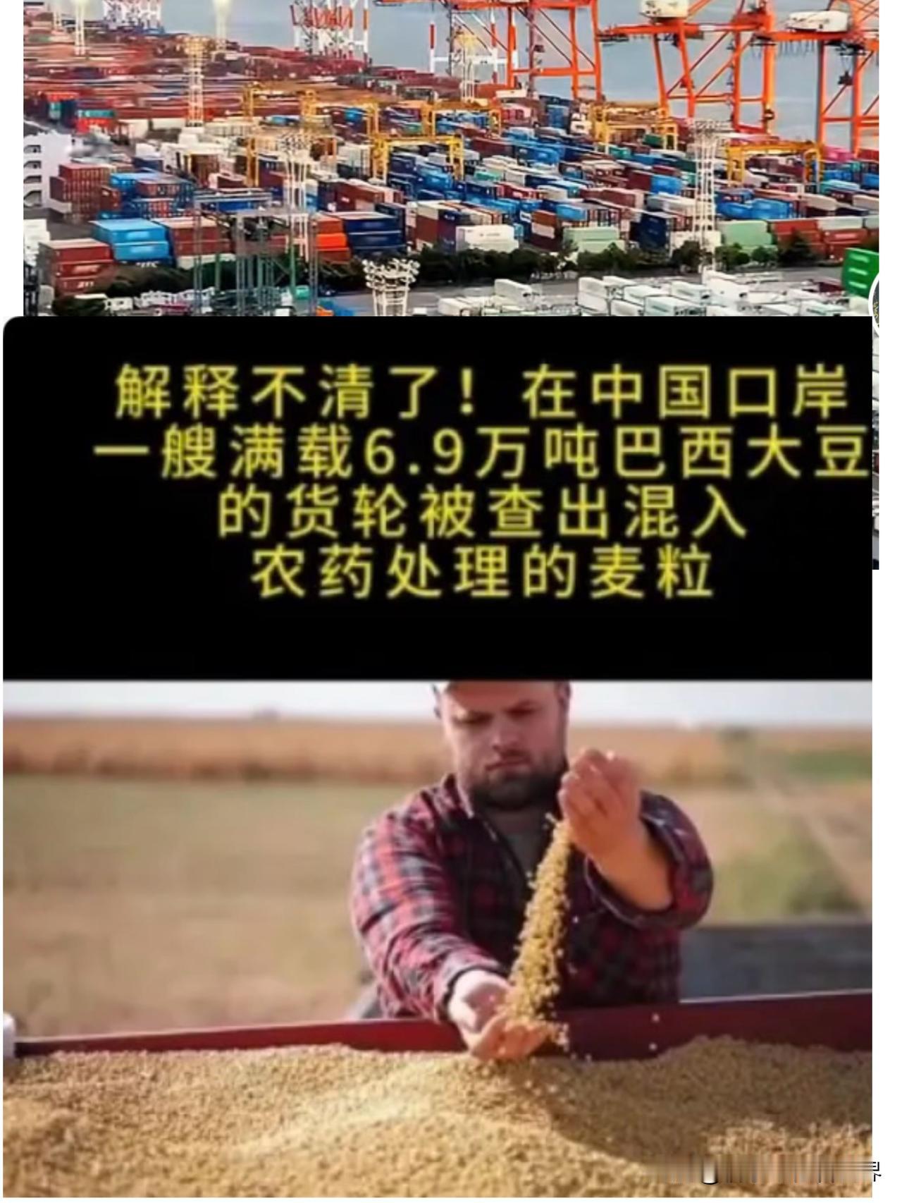 解释不清了！6.9万吨巴西大豆抵达江苏泰州港，但因其中藏有10吨禁用农药的小