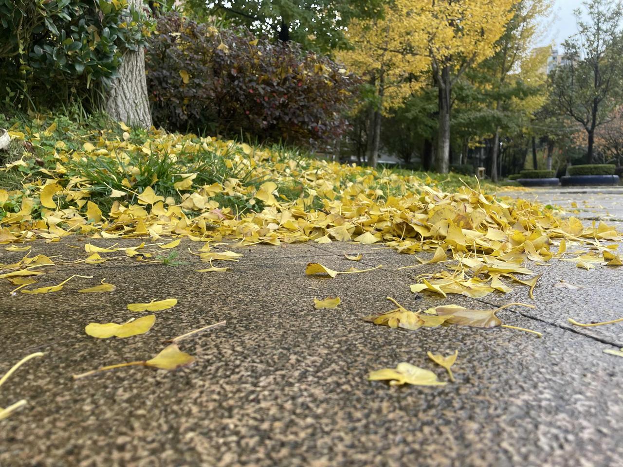 倘若你女朋友身边尽是离异的朋友，那你最好别和她交往。人作为社会