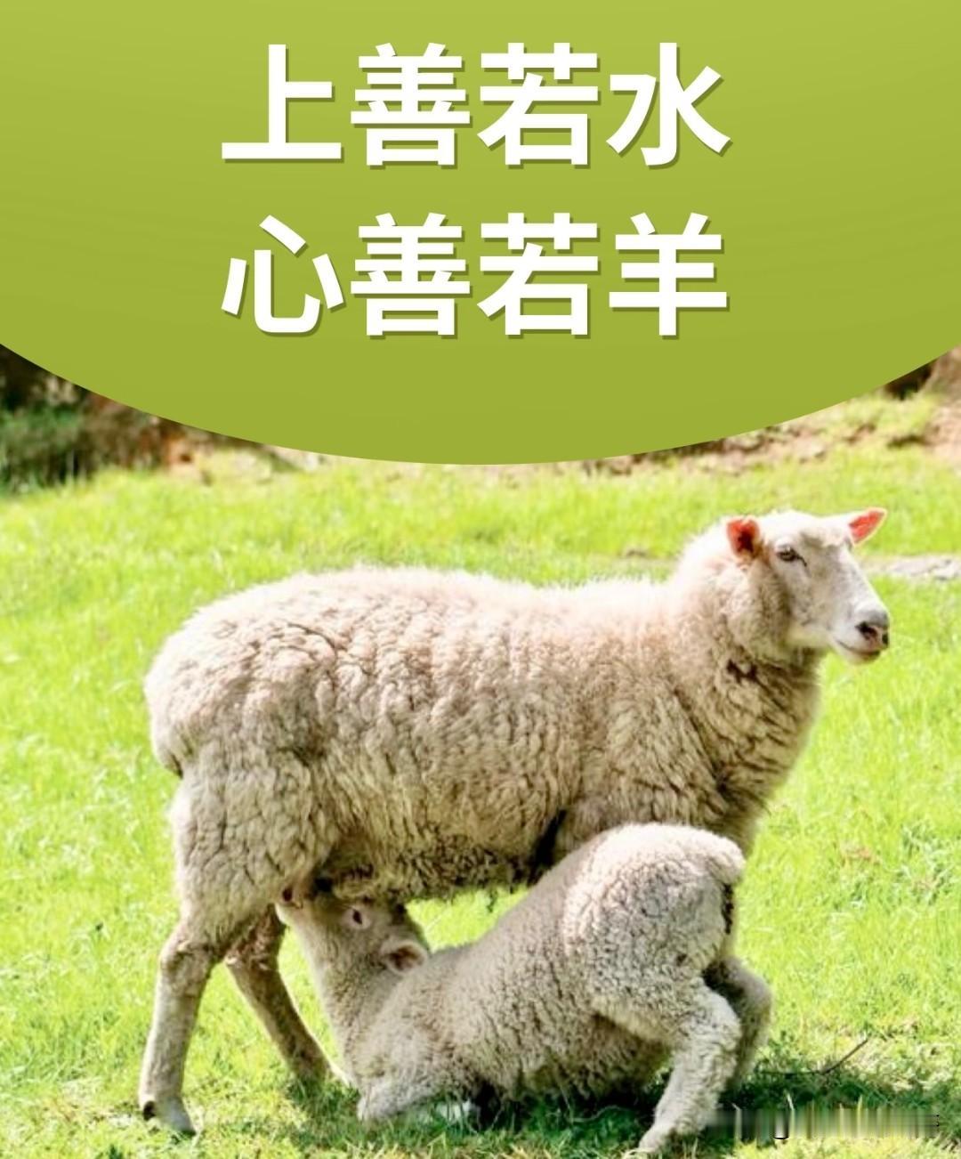 没有华丽的语言，唯有俯身的不舍，这一幕戳中了无数人。我们何尝不是在生活里被迫“卖