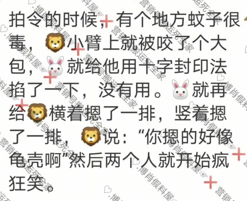 卧槽所以王一博对肖战说的是龟壳还是龟壳呢