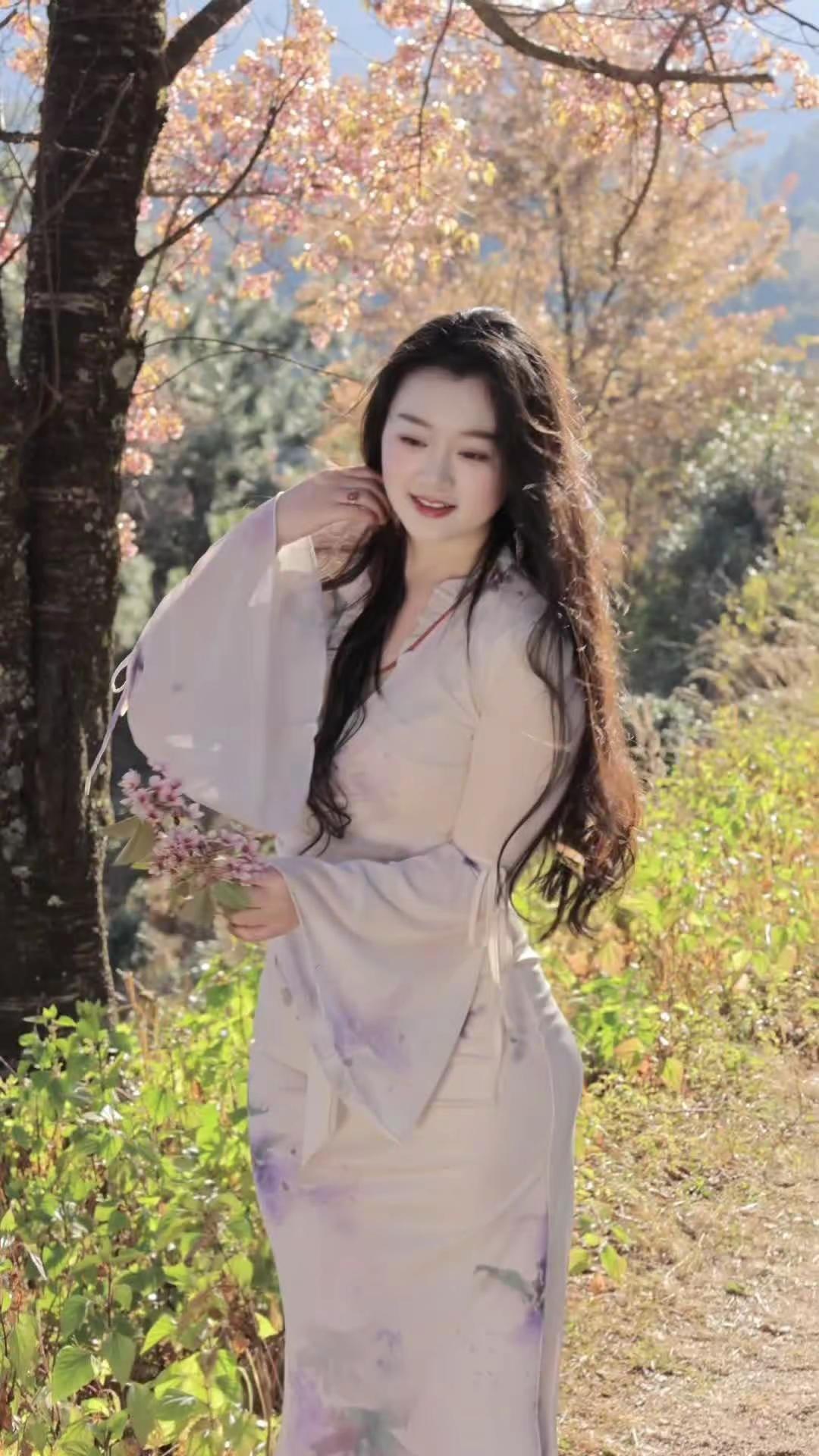 在春和景明的云南，等你来看茶园的樱花（库存版）