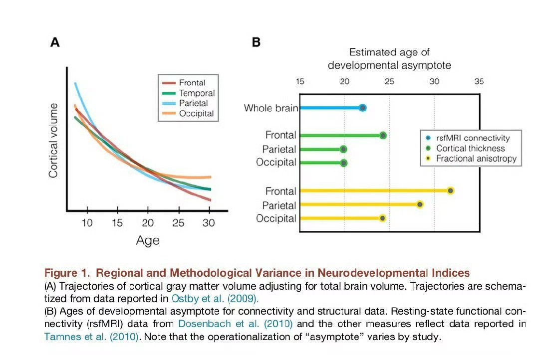 原来人脑到了25岁真的会变成熟算是微博上比较早科普这点的：图1就是。¹所以哪怕