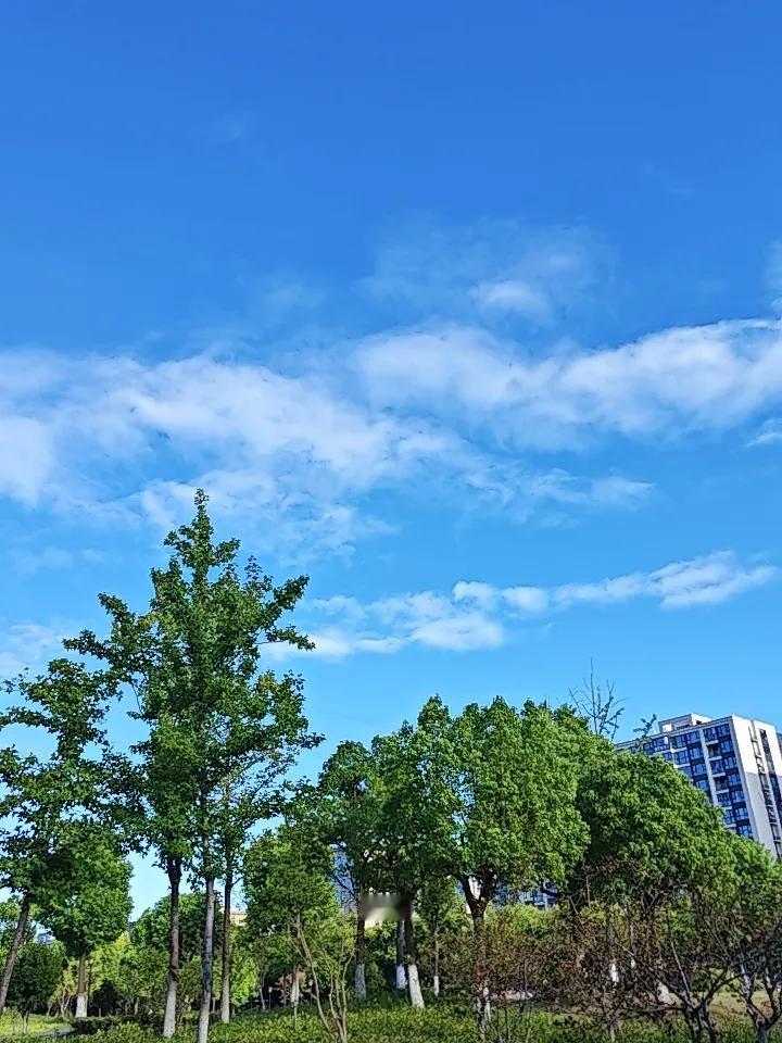 中老年人的病，多半是“堵”和“懒”惯出来的！别等躺床上才后悔人一过五十，最怕