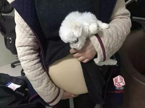 “怀孕”女大学生坐飞机, 胎动惊坏安检员, 结果让人哭笑不得