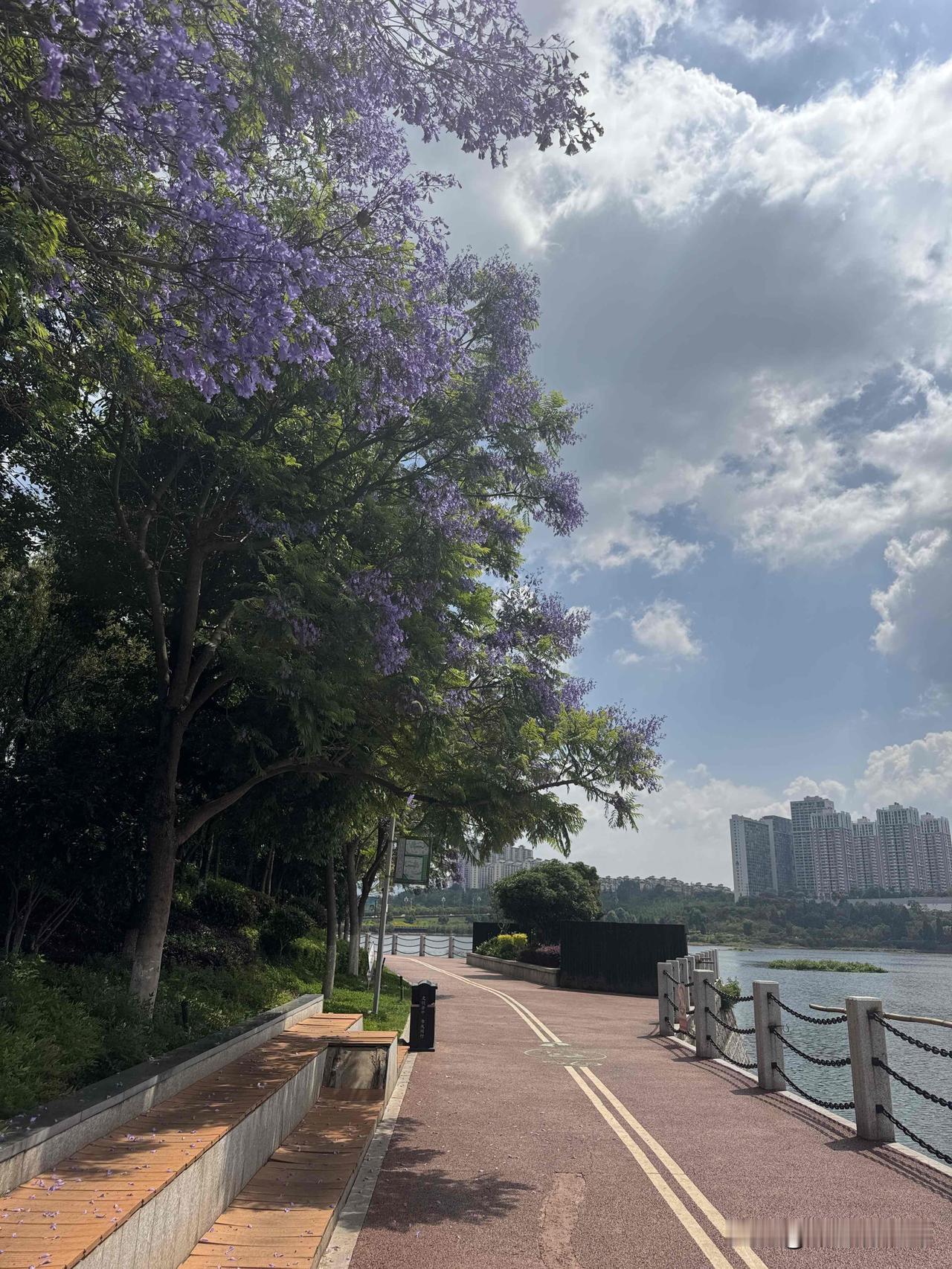 从没有当过领导，今天晋三级调研员了。我是一名市局（县级市）普通公务员，一直做具