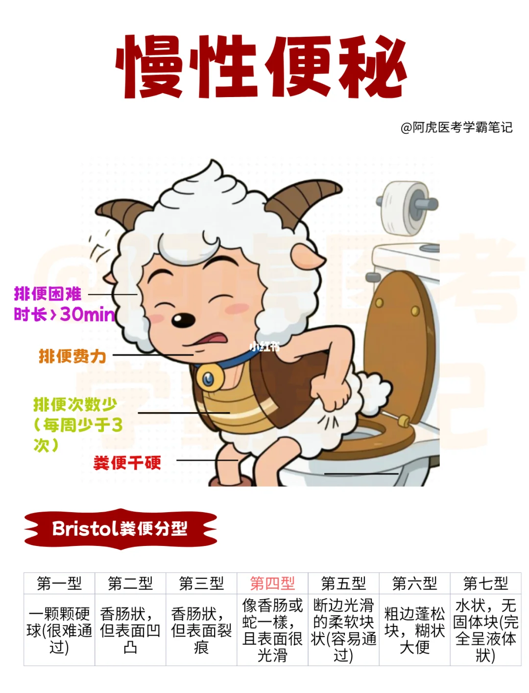 医学生笔记📒：慢性便秘怎么办?👆