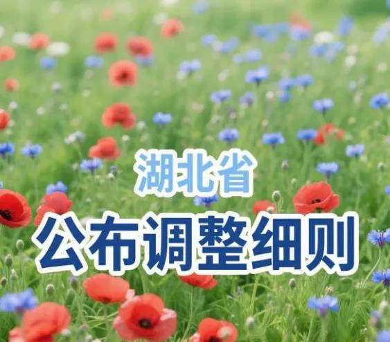 湖北咋了？一片静悄悄，真沉稳！几天来，各省份争先恐后地公布养老金调整细则方案，