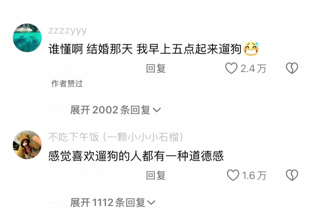 每一个遛狗人都有着钢铁般的意志​​​