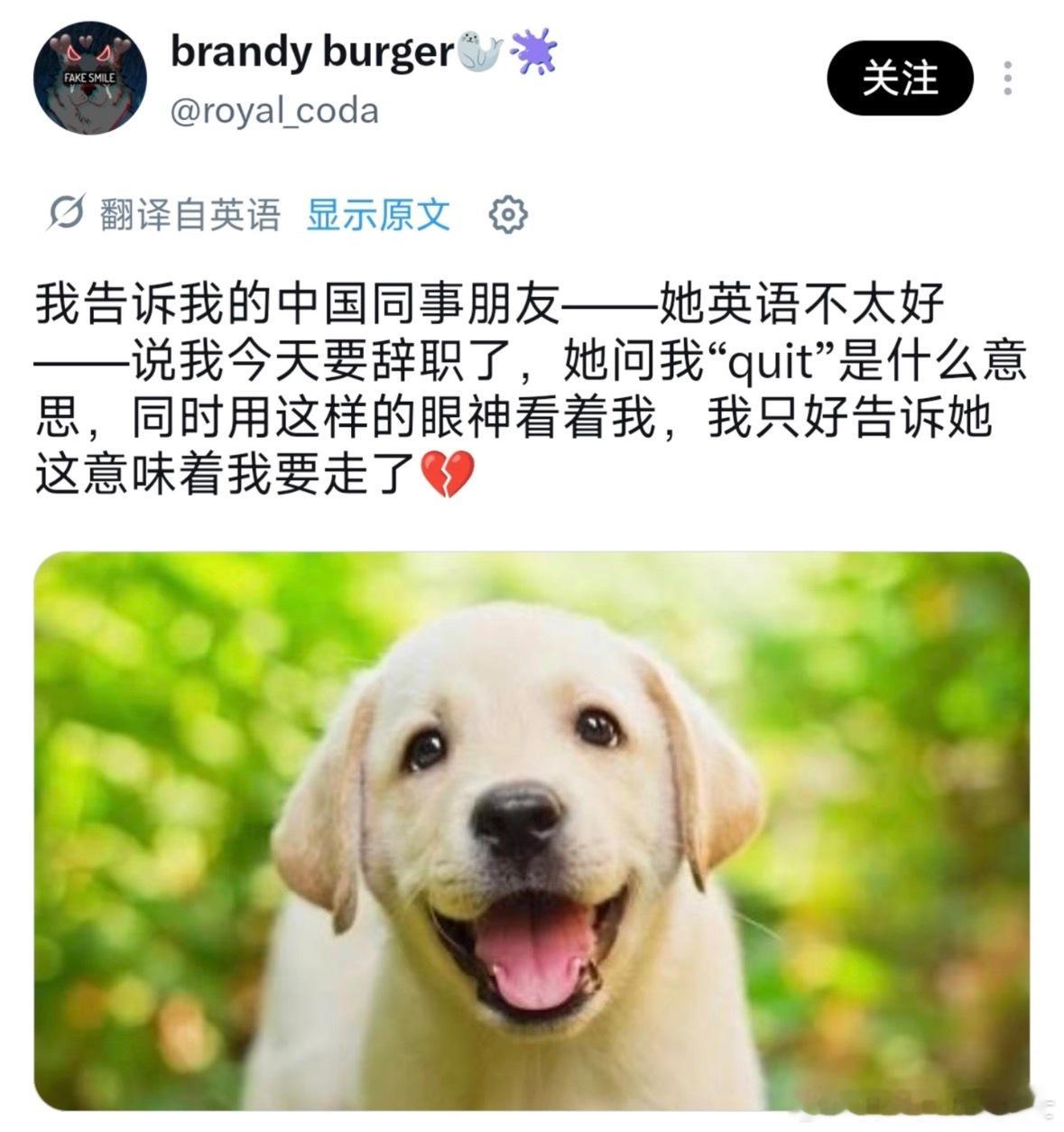 中国同事这辈子都不会忘记这个词了
