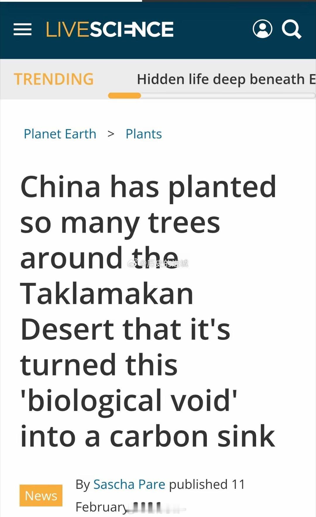 据美国科普网站LiveScience报道，最新研究显示，中国的大规模植树工程，