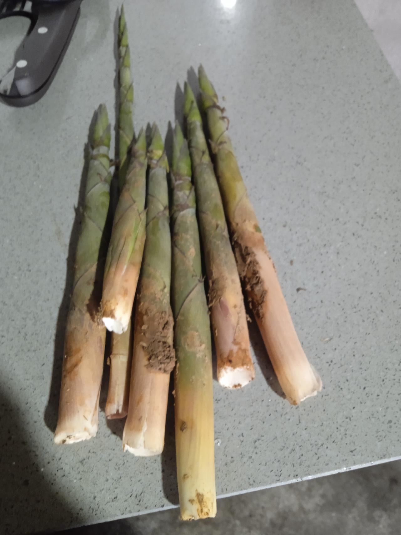 “化疗让人死得更快。”谈癌色变的年代，得了癌症怎么治？手术，化疗是最基本操作。