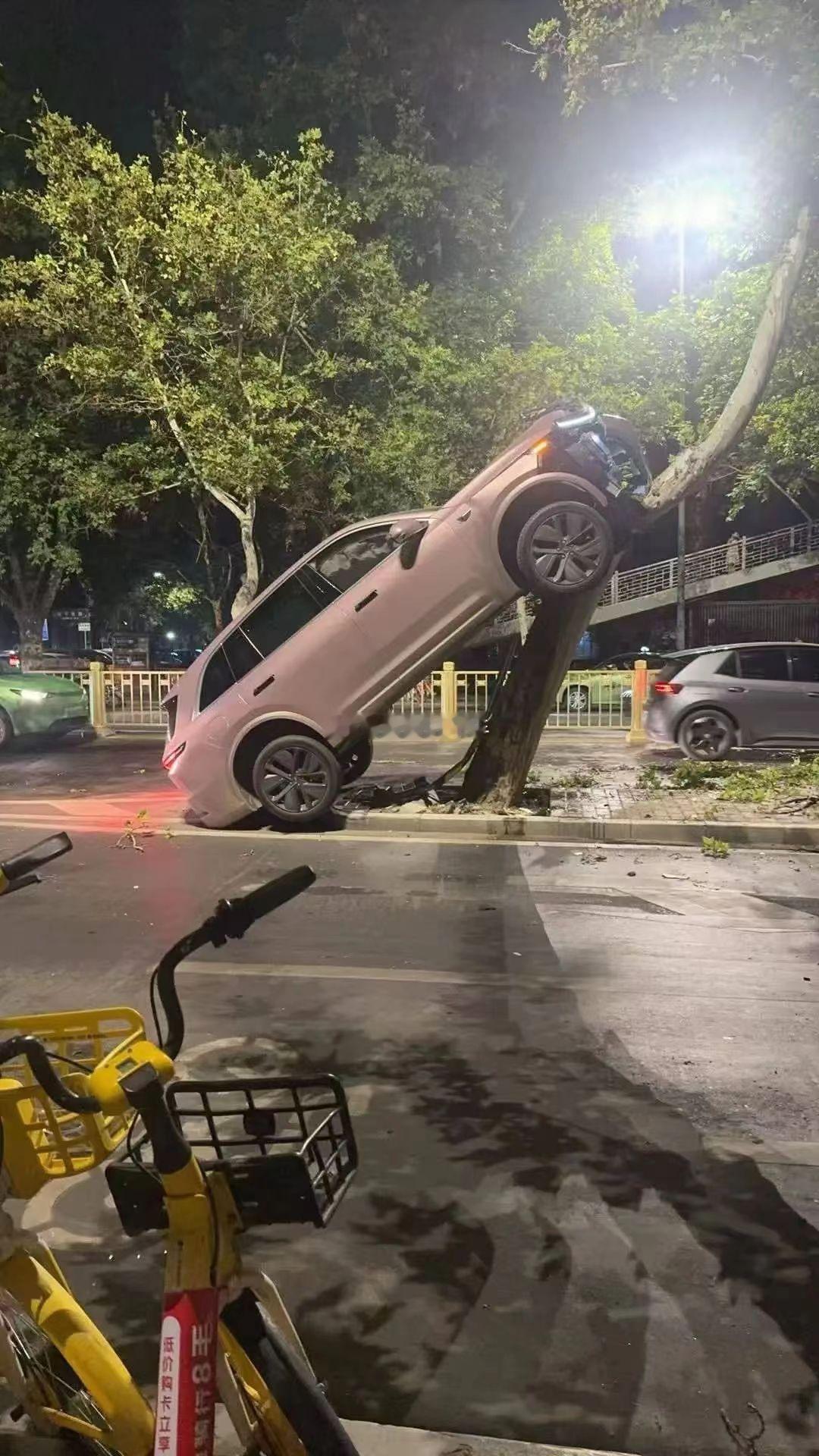 新能源上树？？？开了辅助驾驶还会这样吗？？？海阔试车超话​​​