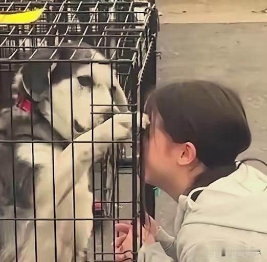 太有缘了！女子在狗市上找到了自己失踪两年的狗狗，女子情绪激动的抓着笼子哭着说“我