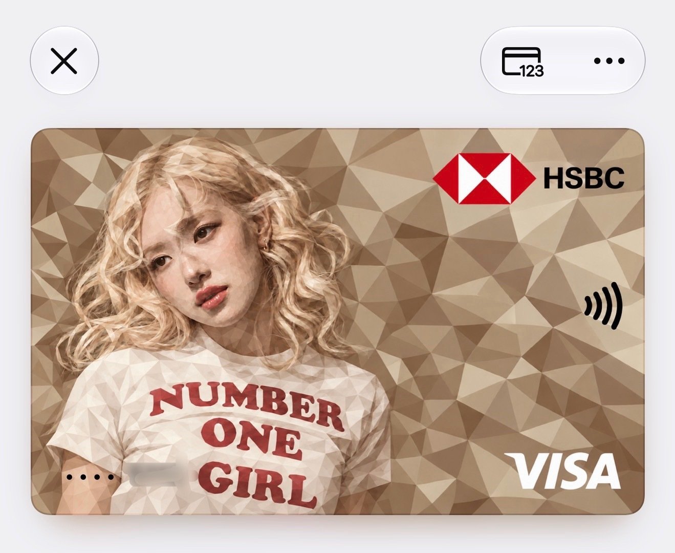 最近这个自定义ApplePay卡面的玩法很火弄了个nog形象的哈哈哈哈#朴彩英#​