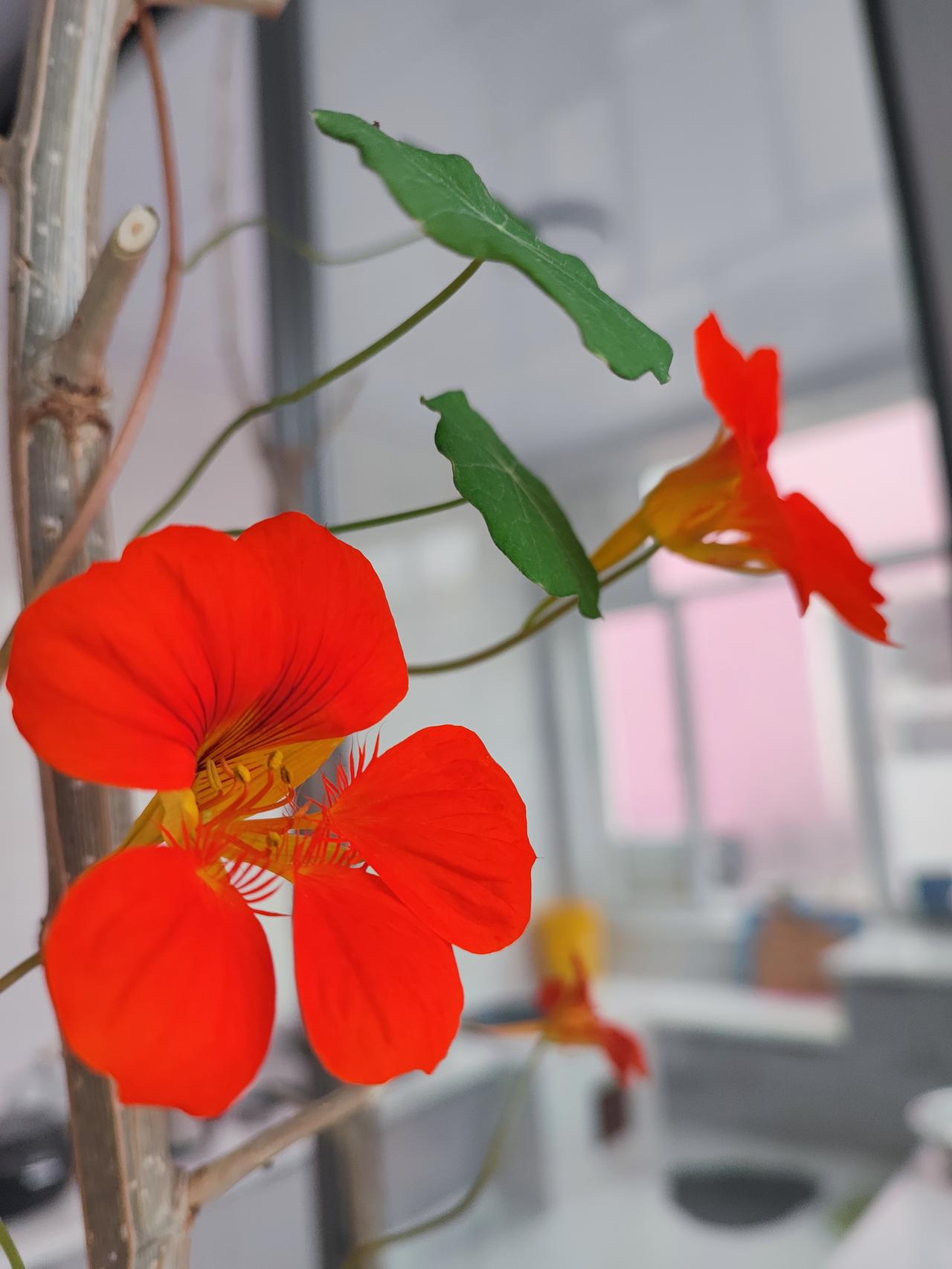 借钱存钱还有理[捂脸哭]活年纪大了啥事都能遇上，俺家小叔子打电话给我俺家两个小