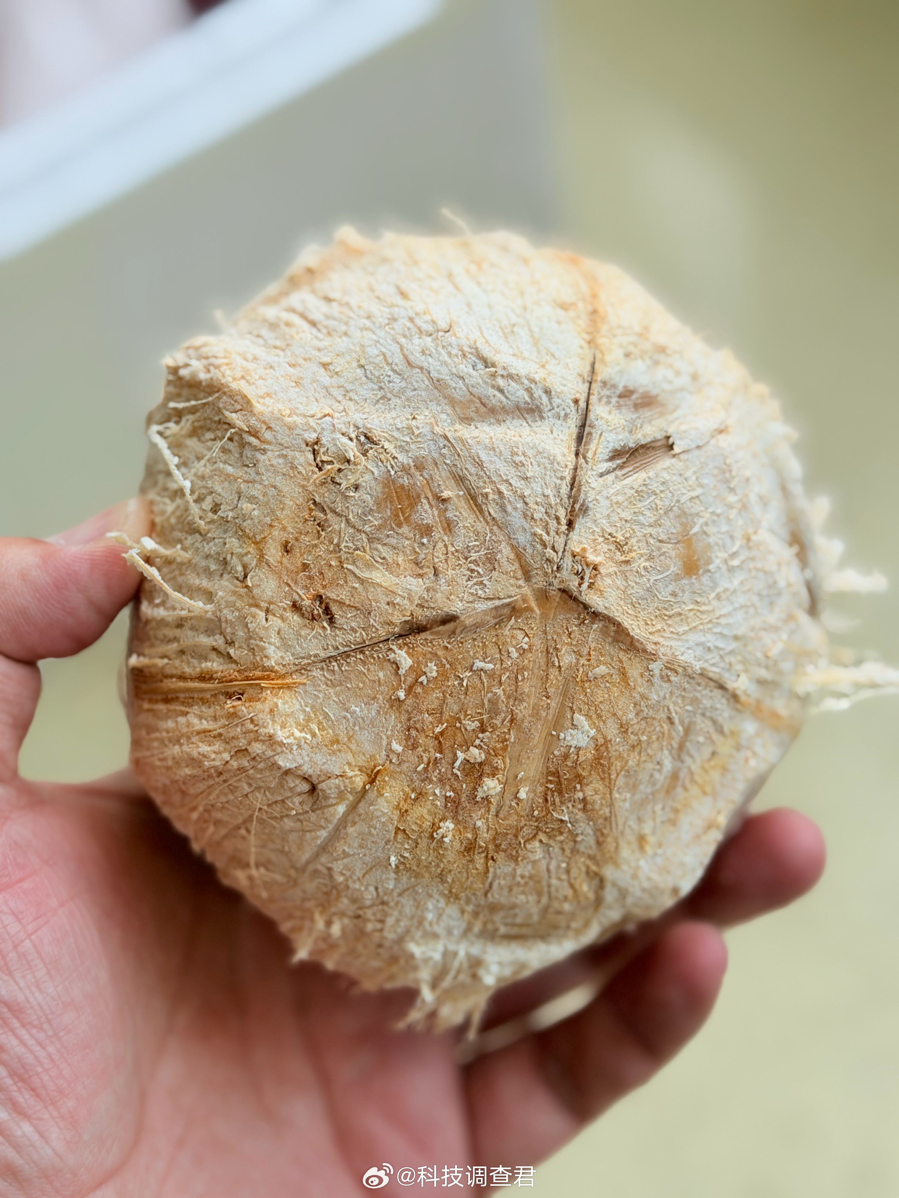 海南的朋友问一下这个椰子怎么开？海南朋友寄了一箱椰子过来每次吃都要浪费好大的力气