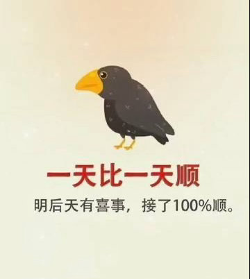 变富就是每天循环13个动作1、每天培养自己的输出能力一个人，要是天天写800字，