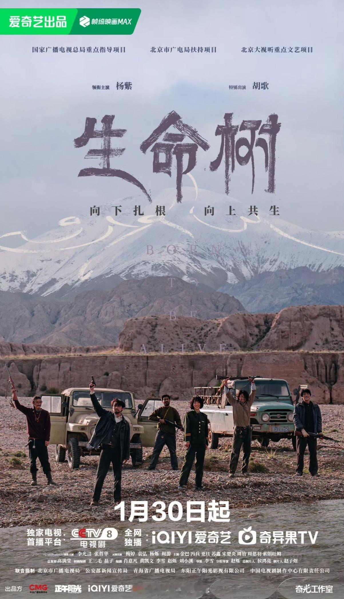 杨紫、胡歌《生命树》招商排面拉满了，这么多品牌