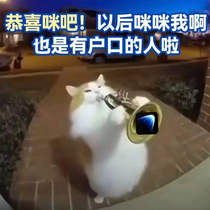 发现一种很新的撸猫方式玩赚灵光万物皆可搓周末别去景区人挤人啦！跟着灵光App冲