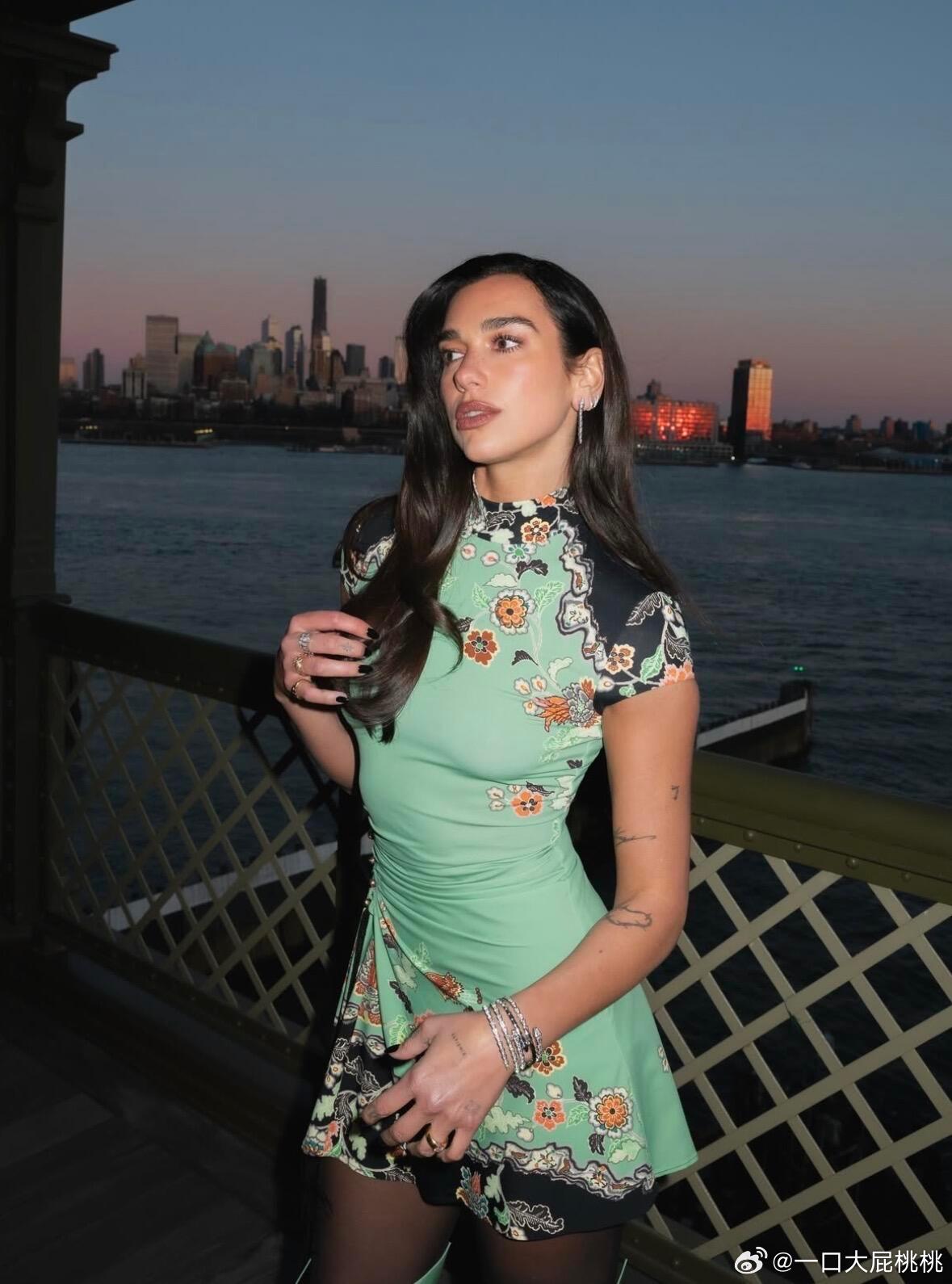 DuaLipa在纽约参加线下活动，上身了ROBERTOCAVALLI20