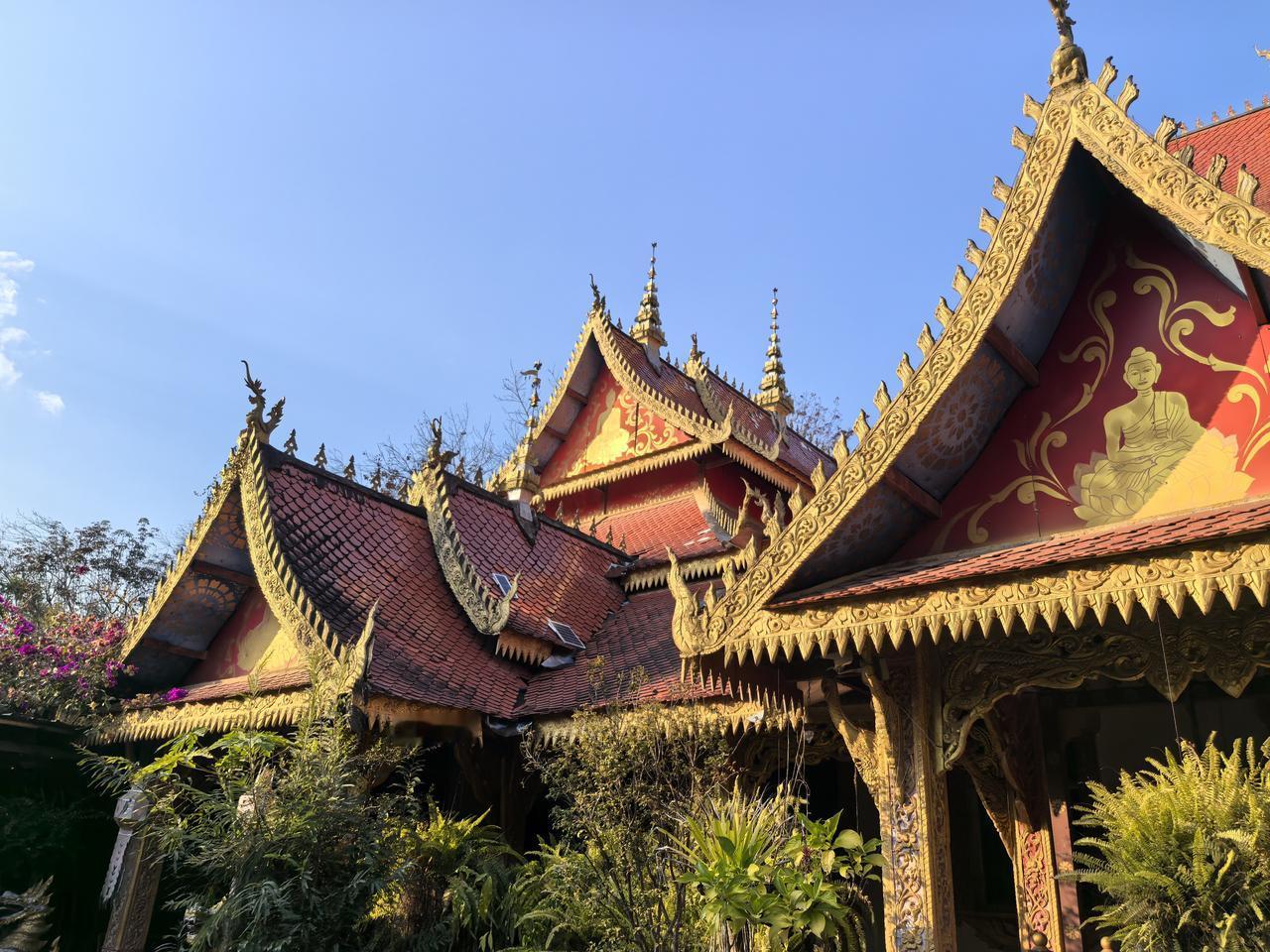 讽刺！特朗普制裁移民城市，忘了美国祖先：当年逃到美洲，而非革命欧洲！然而，1