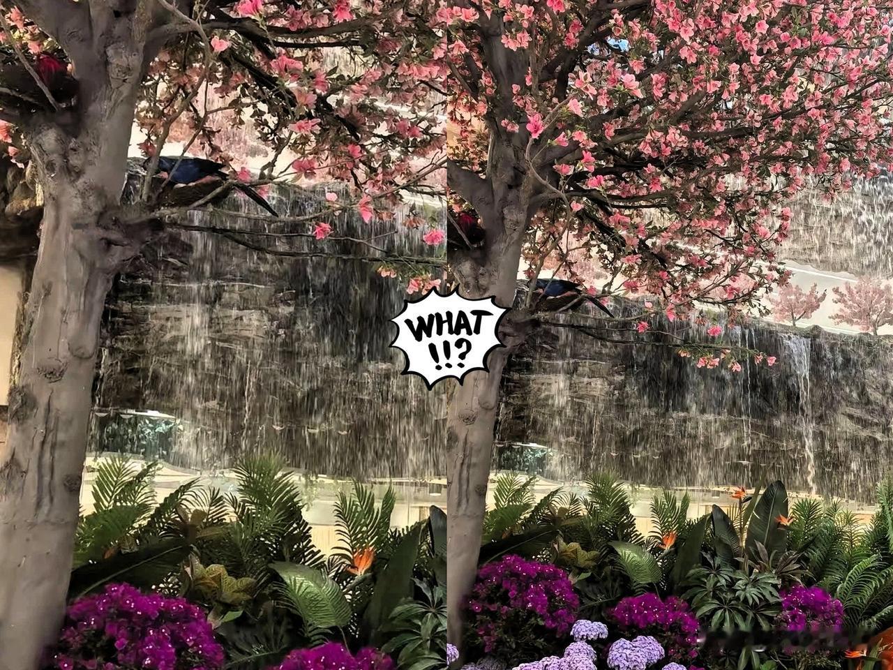 西安赛格，接下来可能麻烦了！不是因为竞争对手抢了生意，也不是因为消费降级的大