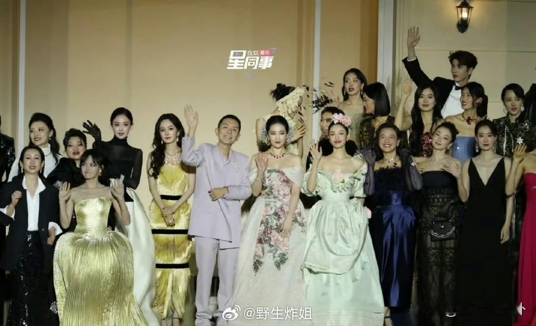 昨天的Vogue盛典杨幂开场我不意外，刘亦菲压轴我也不意外，但合照环节钟楚曦