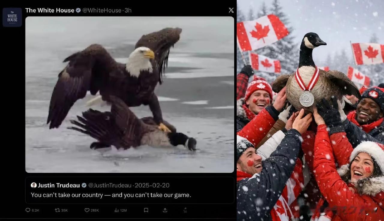 有点意思！图1，冬奥会结束，白宫发布一幅漫画：一只老鹰把一只大鹅死