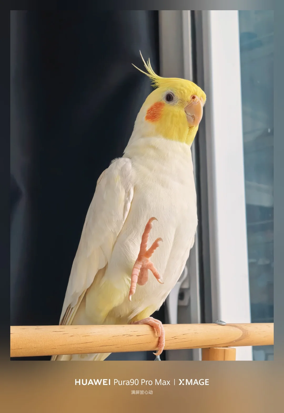 大家帮我看看是3D动图吗🥺