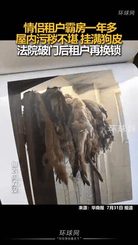 “无法无天了？”陕西西安，房东好心把200平的房子租给一对情侣，岂料合同到期后，