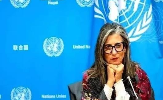 联合国里，终于来了个狠人。一个叫阿尔巴内塞的女人，当着全世界的面，把一份报告直