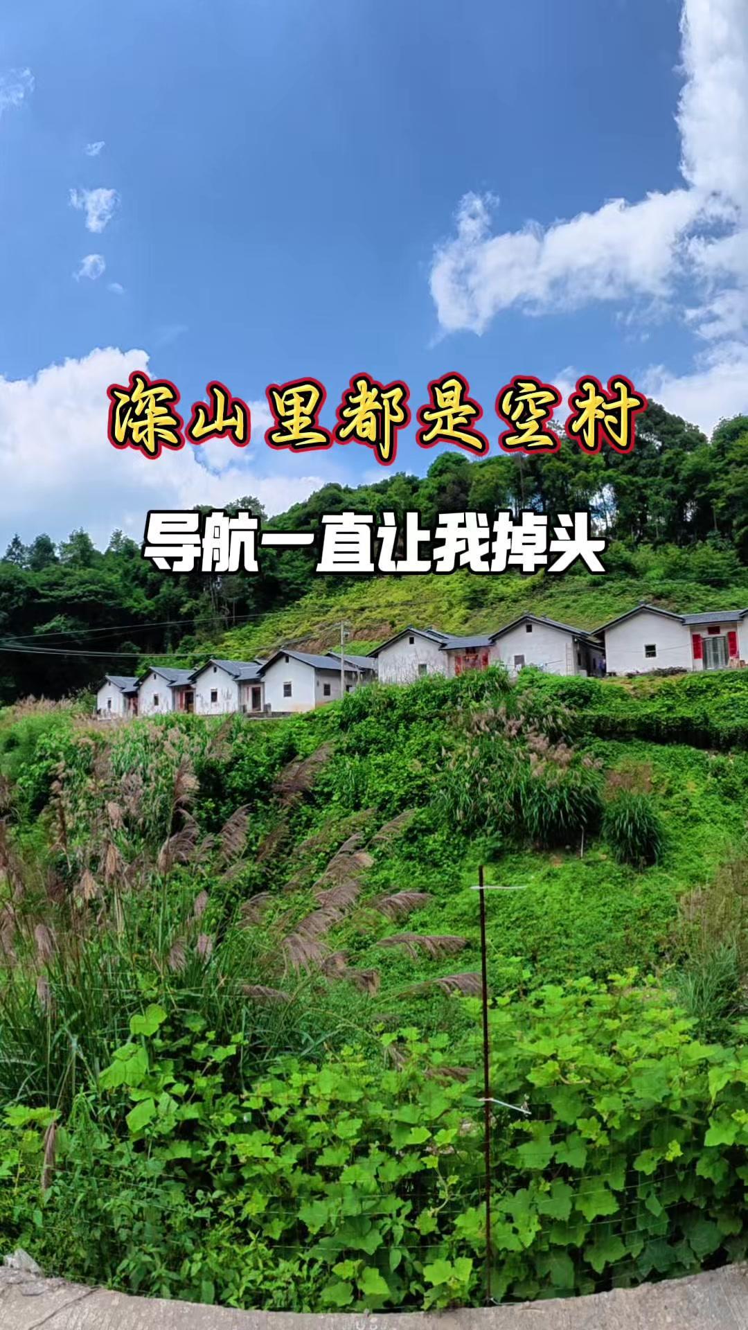 🌿梅州西阳镇山区自驾，几十公里遇见的全是无人居的村庄群，导航都绕晕了！这里不仅
