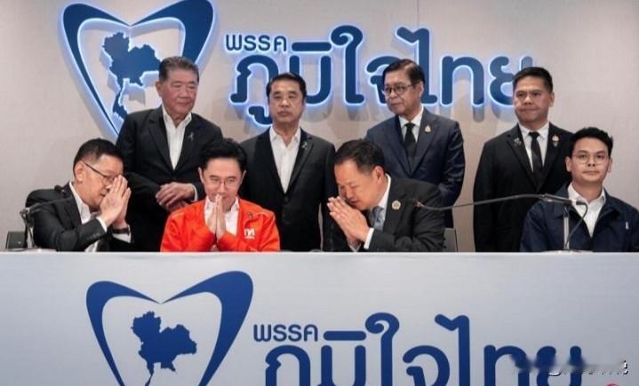 泰自豪党以193席成为最大党，联合为泰党等阵营，总席位达300席，已掌握下议院过