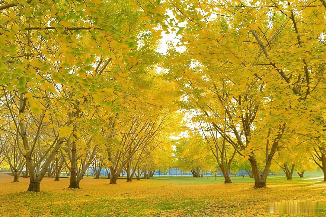 2026年必须布局的板块:1.券商板块:超级大牛市，证券怎么可能缺席！除非牛市现