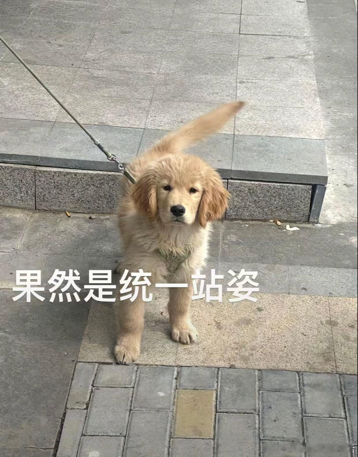 什么物种来了东北都得入乡随俗[doge]​​​