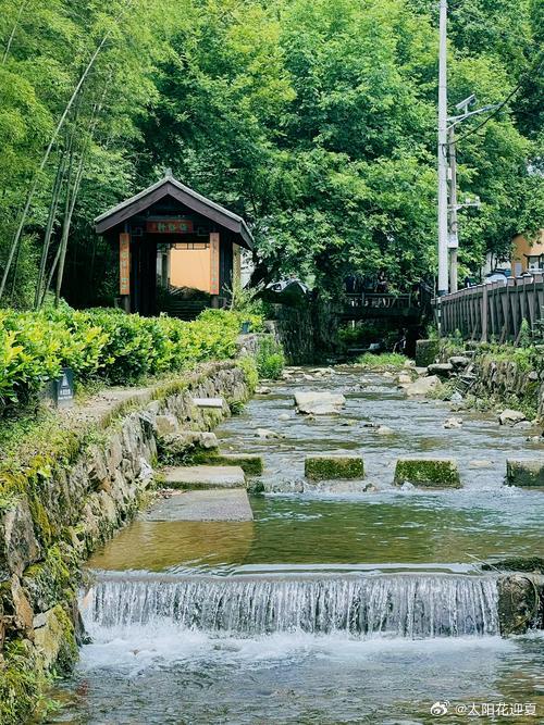 上虞仙果好滋味微博旅行ing夏季上山，主打一个“凉”字，上虞梅坞岭古道：成熟的