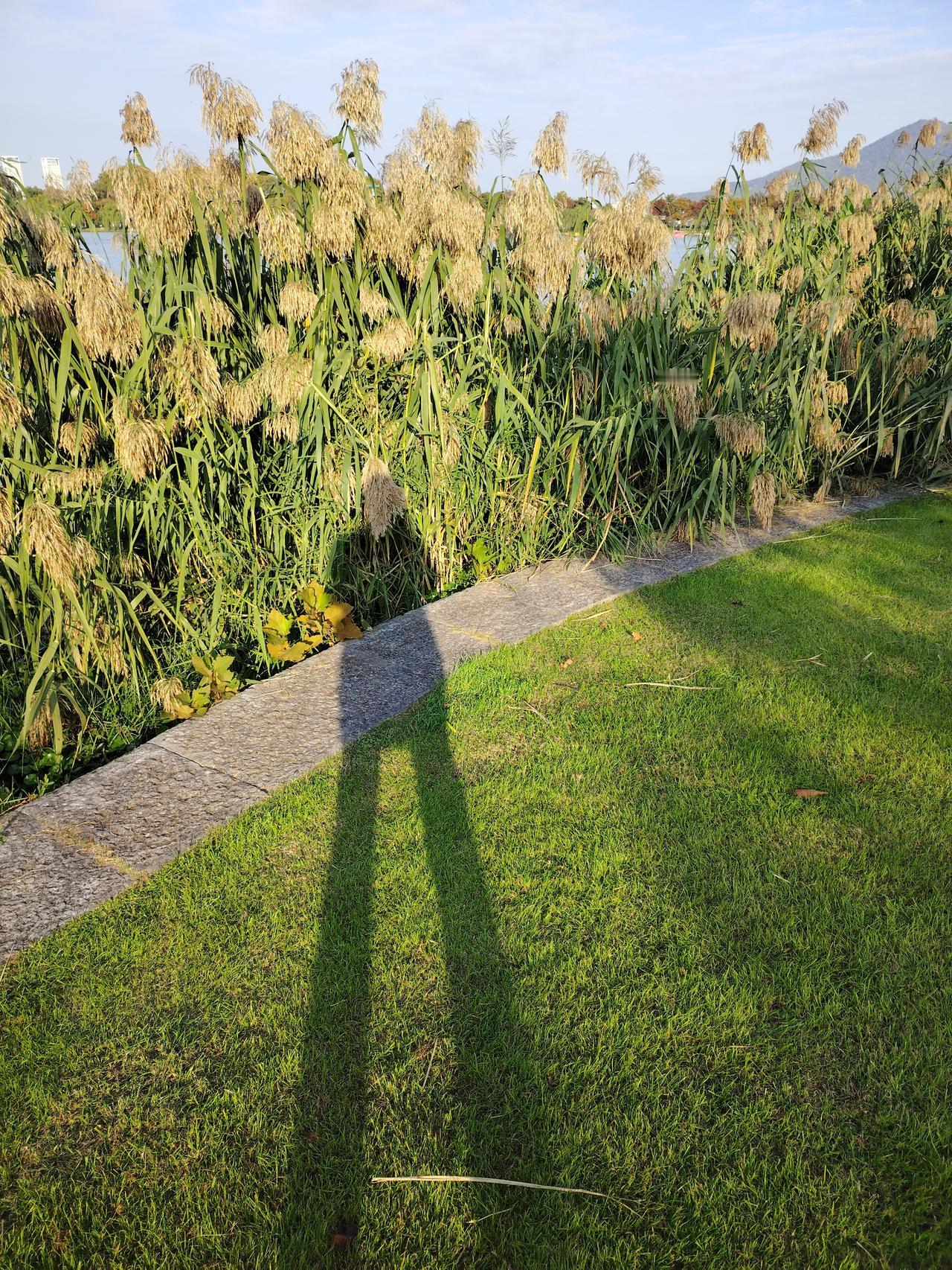 没想到，光影效果还是挺出片的。