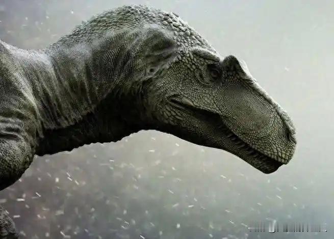 恐龙竟然没有灭绝？中科院院士徐星：“通过大量化石研究，我们可以斩钉截铁的说，恐龙