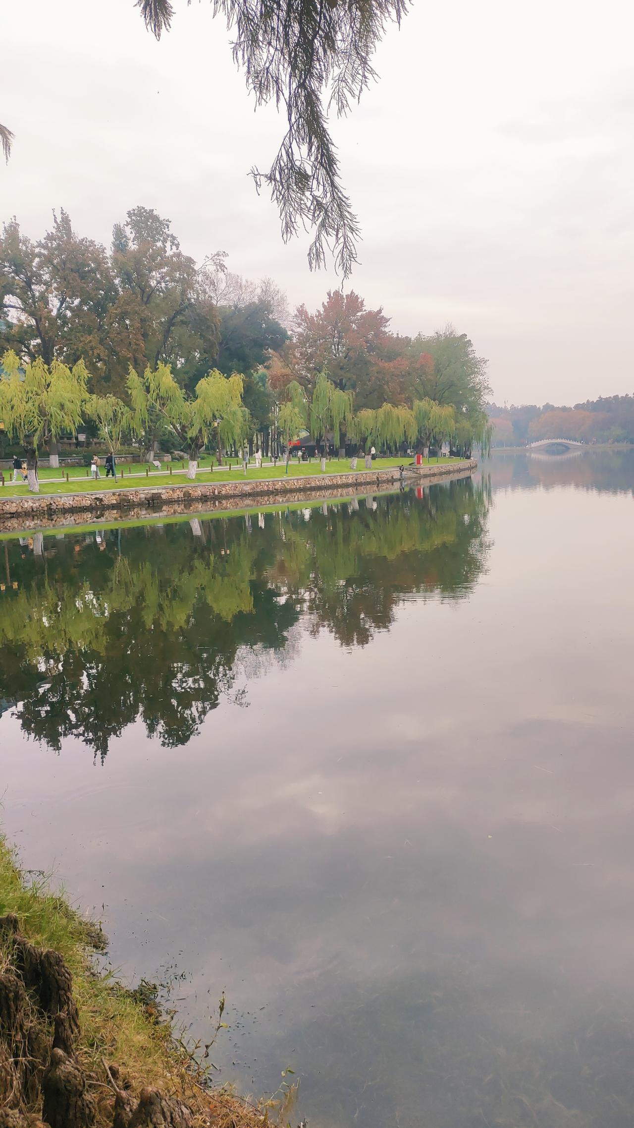 奉劝有孩子的家长尤其是有男孩的你要想尽办法让孩子入世让孩子见识人