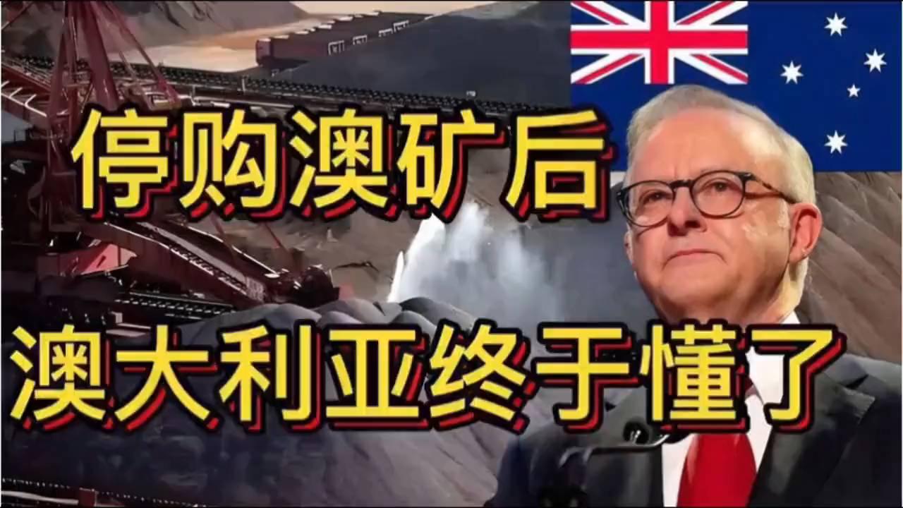 中国停购澳矿背后的战略博弈 主播深度解析澳大利亚觉醒之路