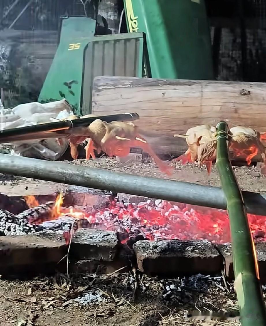 第一批回家过年的人，已经在柴火堆旁啃上现烤烧鸡了！家人们谁懂啊，朋友圈刷到