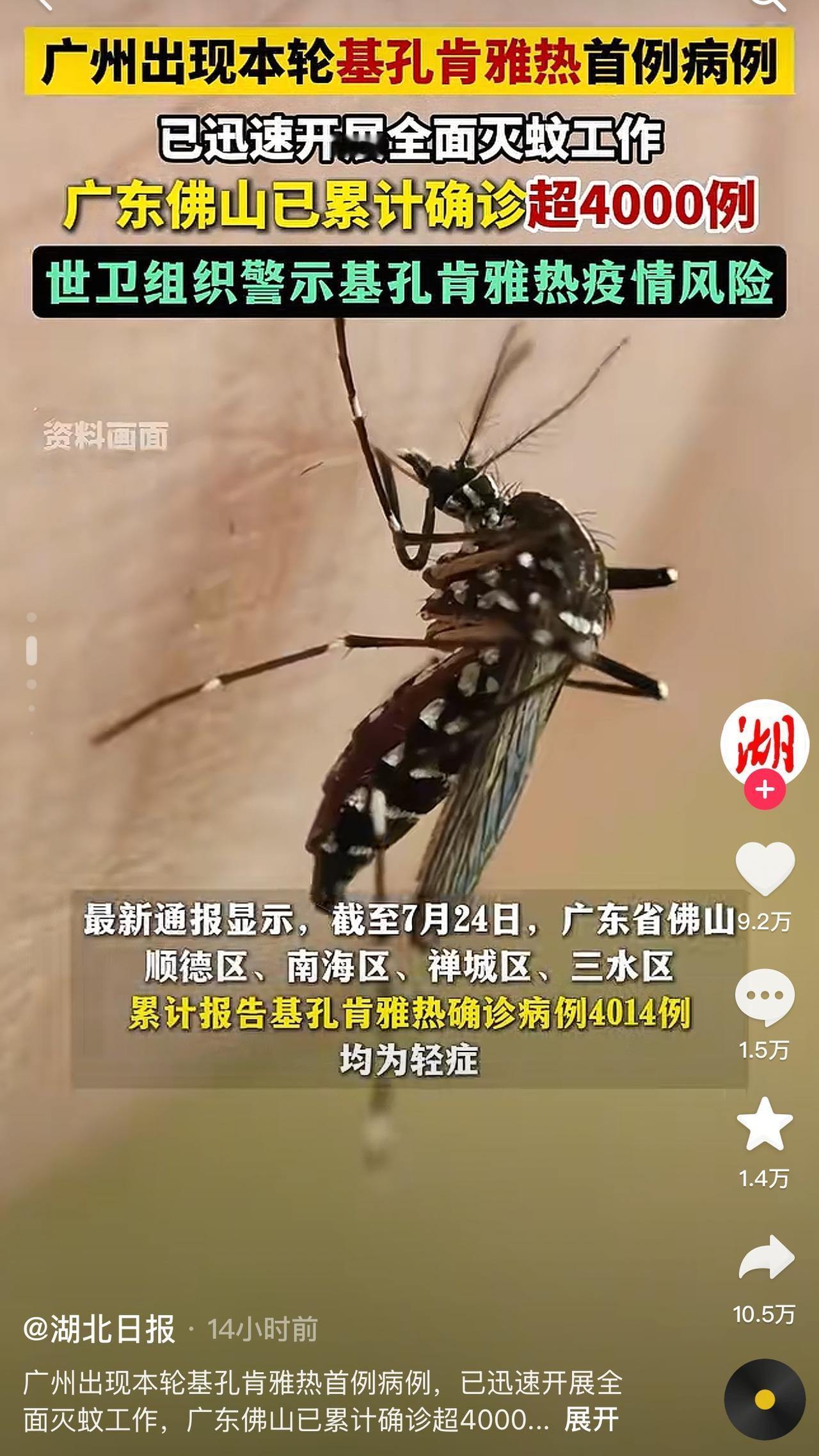 基孔肯雅热在广东佛山已经超4000例！如今广州已经迅速开展灭蚊行动，希望此举能