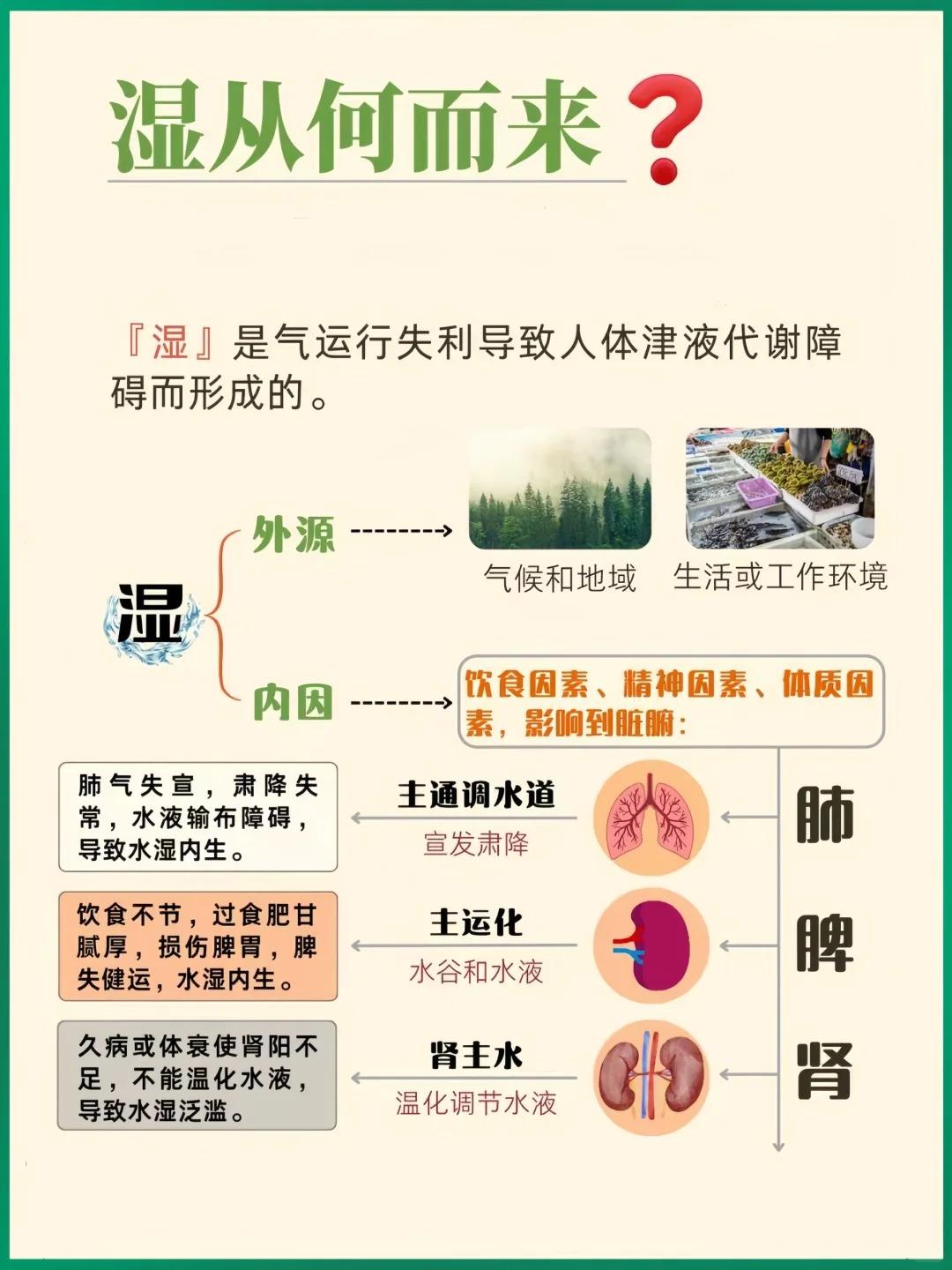 湿气，这身体里的“小麻烦”，你真的了解吗？