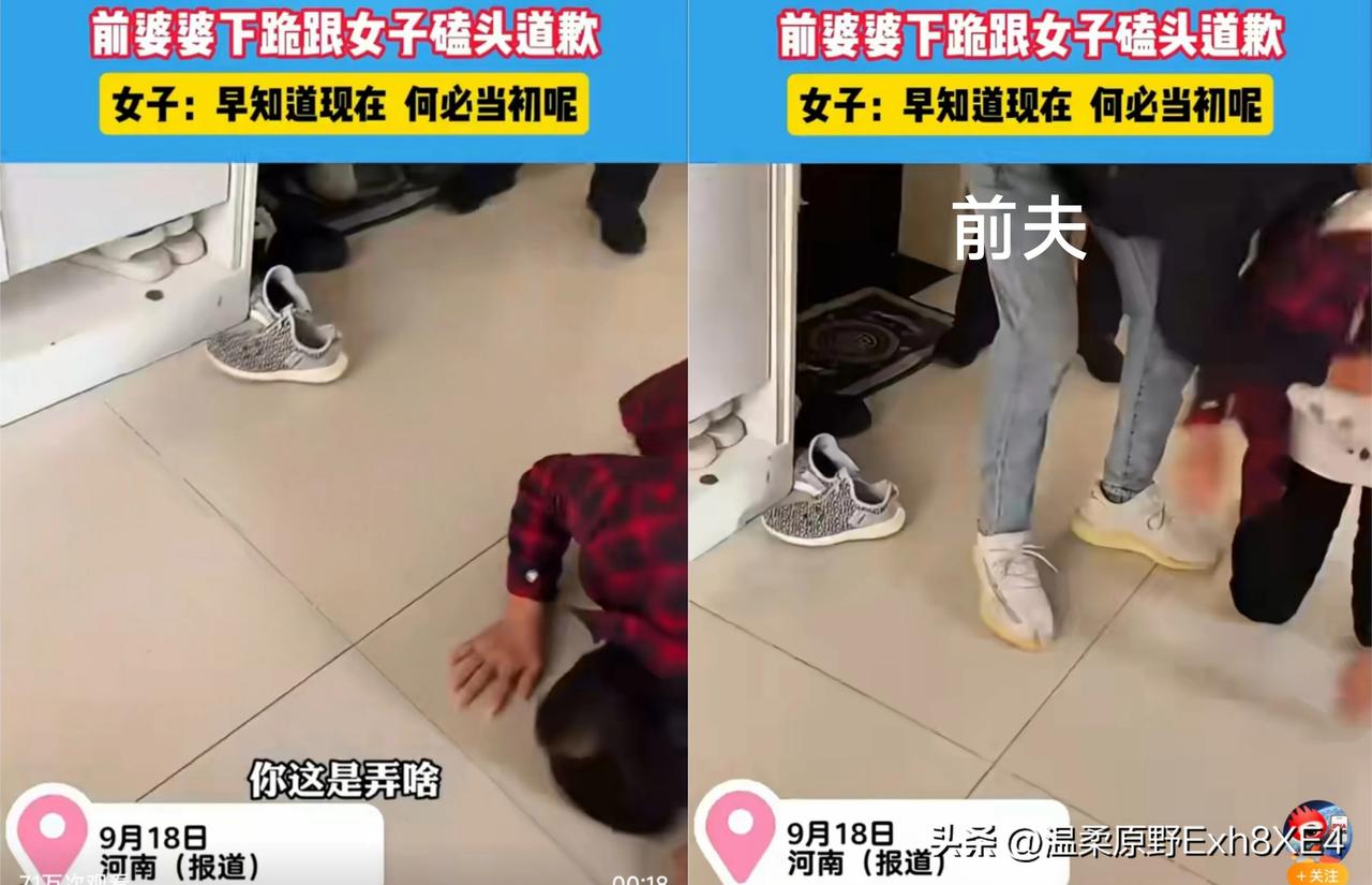 刷到一个视频，看后唏嘘不已女子前婆婆找到女子家，开门就下跪道歉，并称“都是我