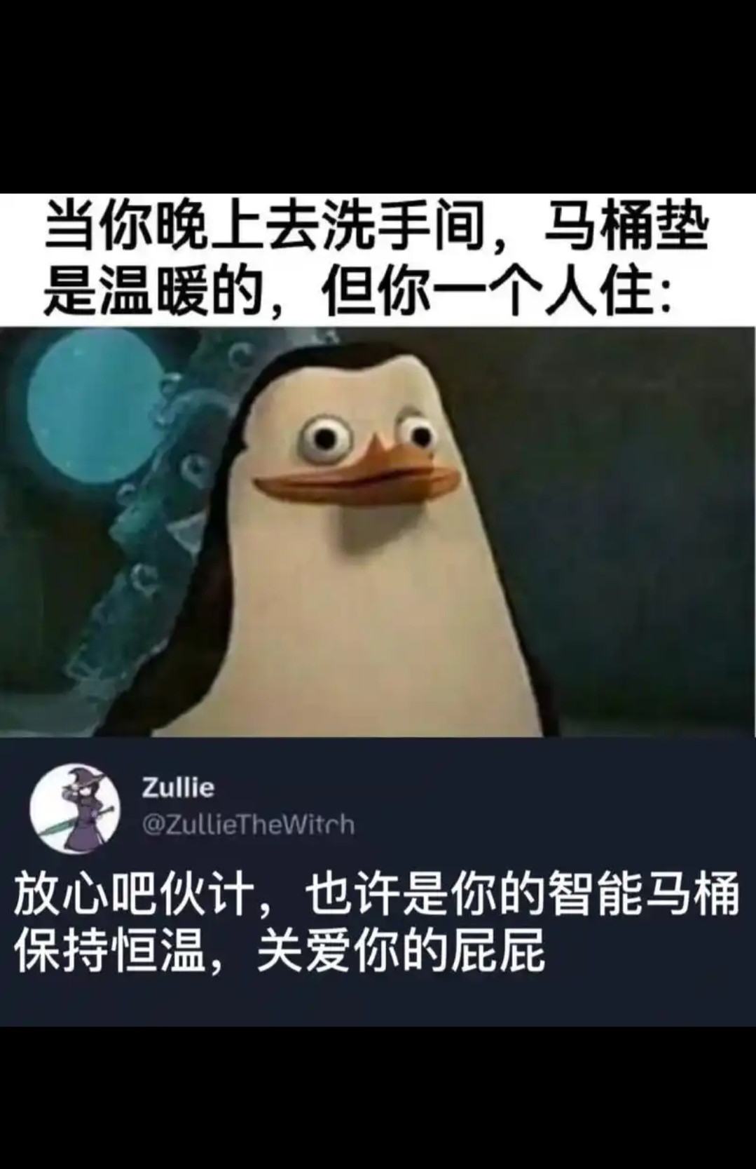 当你晚上去洗手间，马桶垫是温暖的，但你一个人住