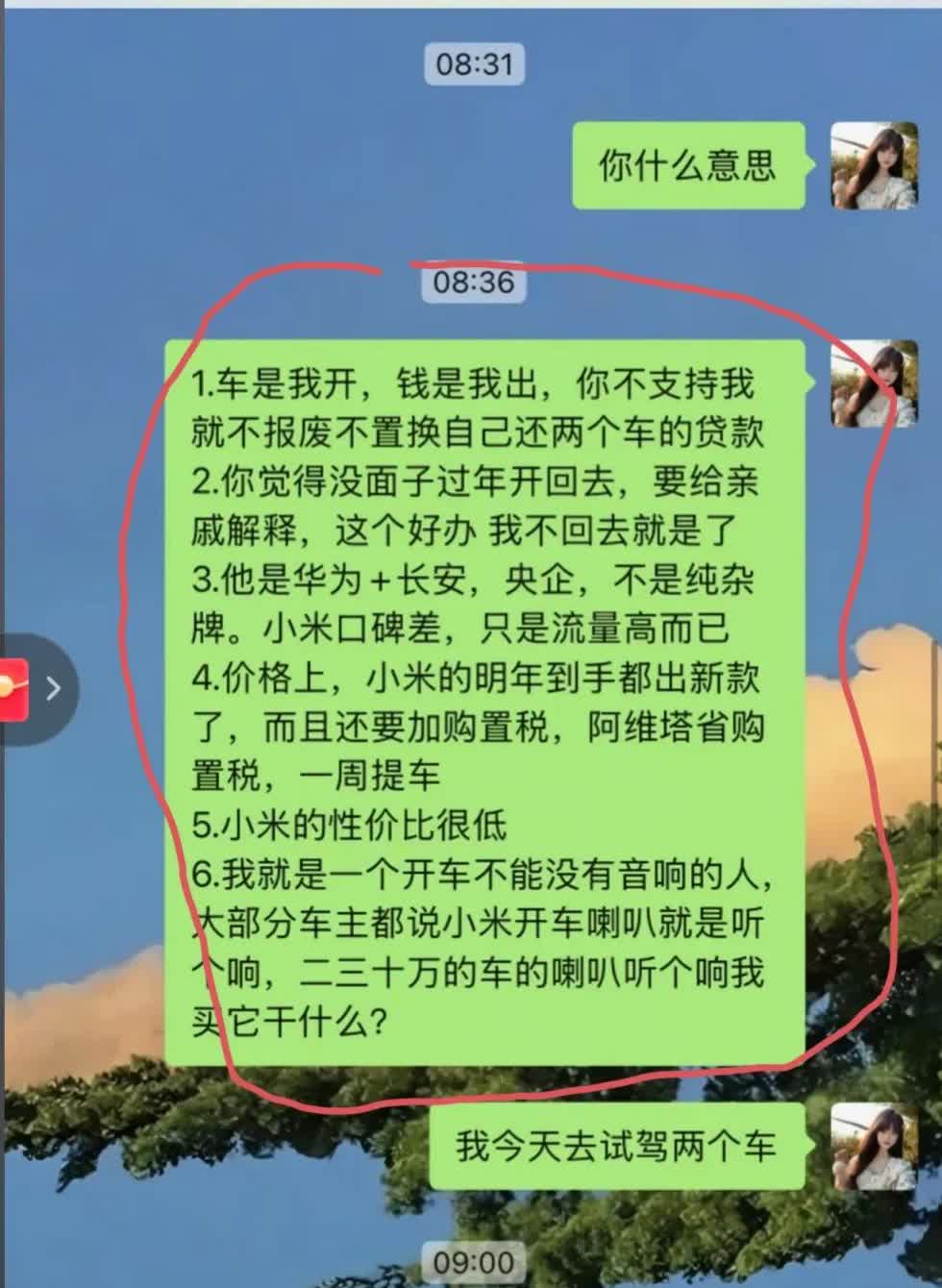 一对情侣因为“买小米汽车还是买阿维塔”这个事情吵翻了天，两人的微信聊天截图在十几