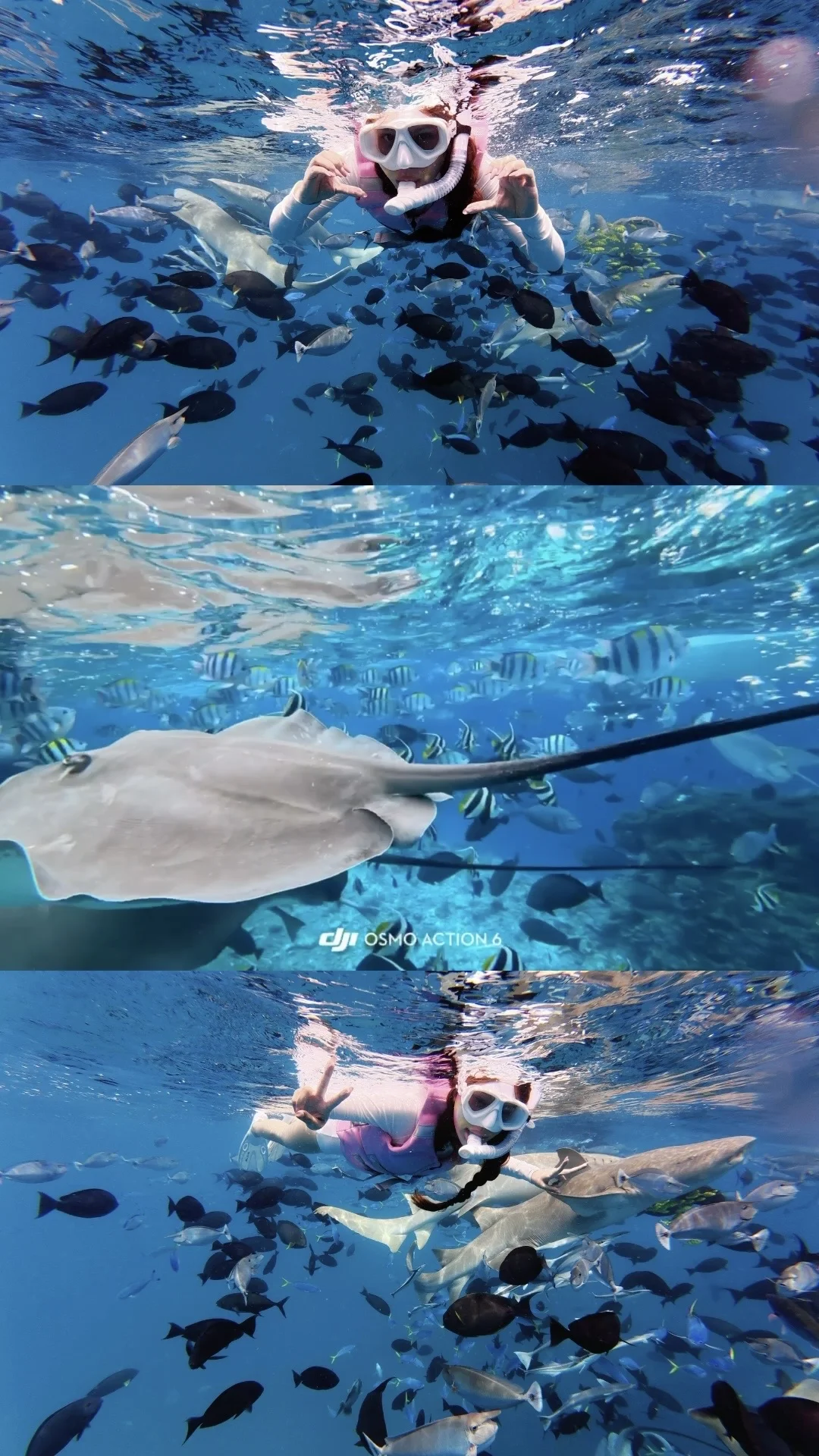 🩵🫧𓂂 𓈒𓏸🐚马代出海日记🗺️ 🐟🫧附攻略 	 离开...
